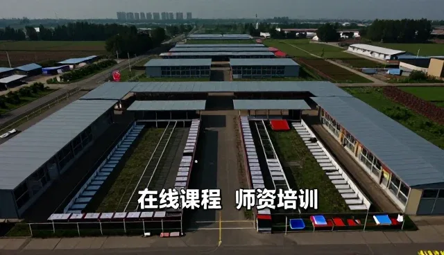 C1驾照培训课程如何推动成就安全出行效率提升